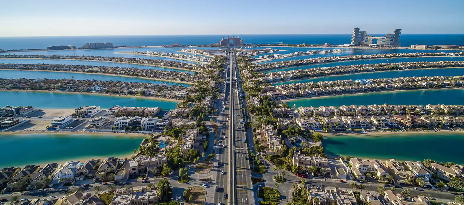 فنادق جزيرة النخلة