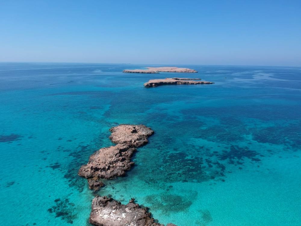جزر الديمانيات