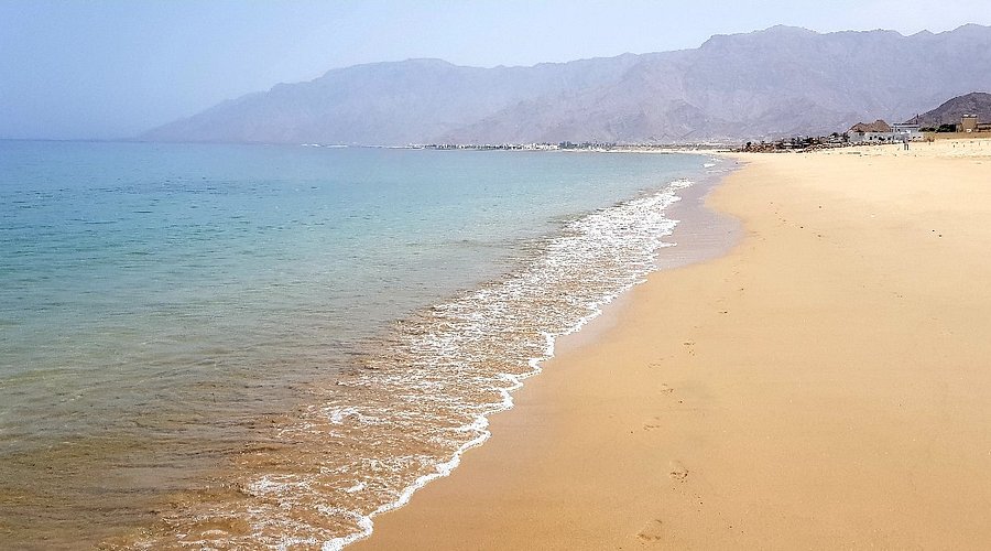 شاطئ السيفة