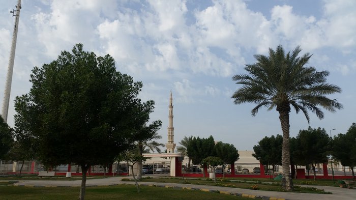 حديقة المهيدب