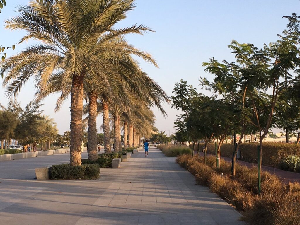 منتزه شاطئ السيب