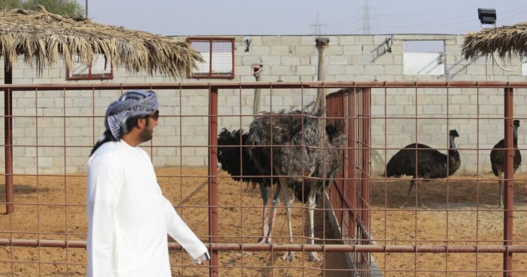 حديقة حيوانات راس الخيمة