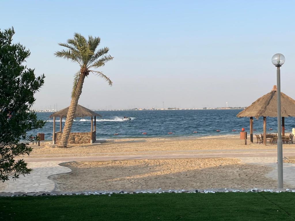 شاطئ أرامكو واحد من أفضل الشواطئ في الخبر