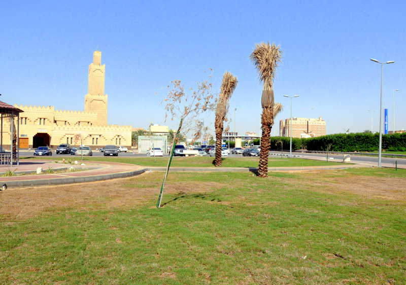حديقة الكادي الخبر تعتبر من حديقة الكادي الخبر