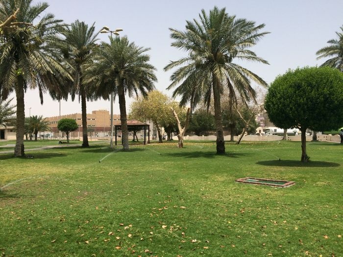 حديقة ابن سينا يعتبر من أفضل منتزه في الدمام