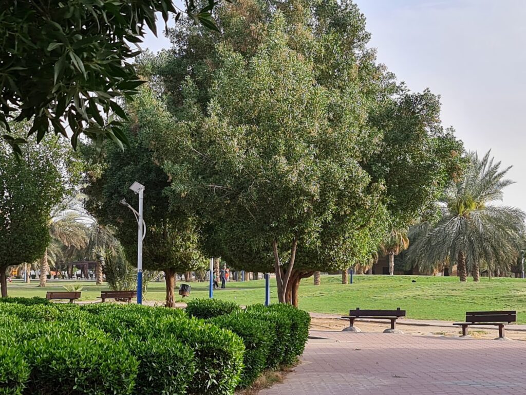 ممشى الجابرية