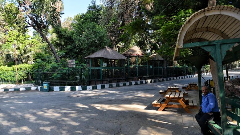 حديقة الحيوان بالجيزه