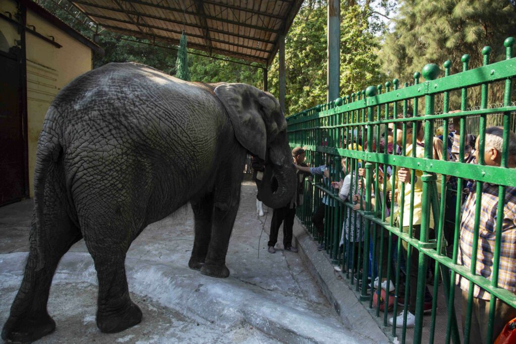 حديقة الحيوان بالجيزه